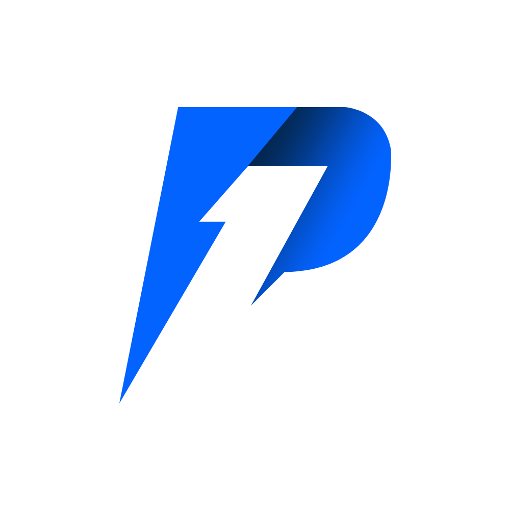 ping one logo
